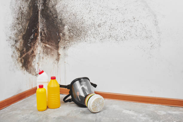 Best Emergency Mold Remediation in Orange Cove, CA