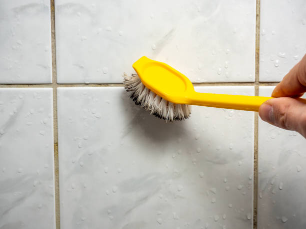 Best Health and Safety Mold Remediation in Orange Cove, CA