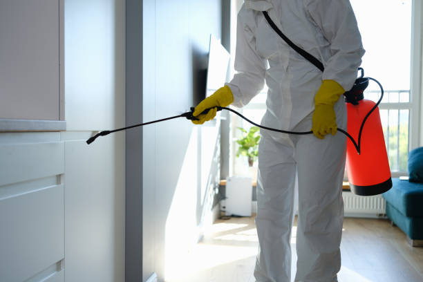 Best Mold Remediation for Specific Building Types in Orange Cove, CA